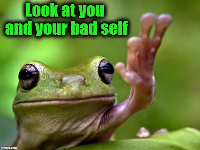 screw you | Look at you and your bad self | image tagged in screw you | made w/ Imgflip meme maker