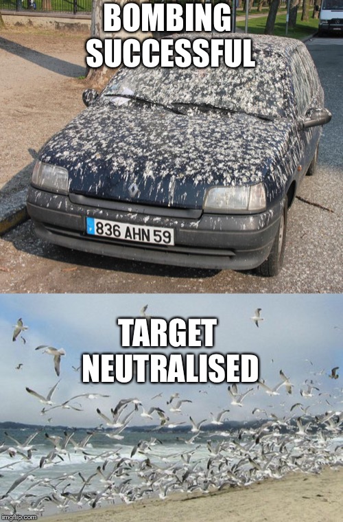 BOMBING SUCCESSFUL; TARGET NEUTRALISED | image tagged in funny memes,car | made w/ Imgflip meme maker