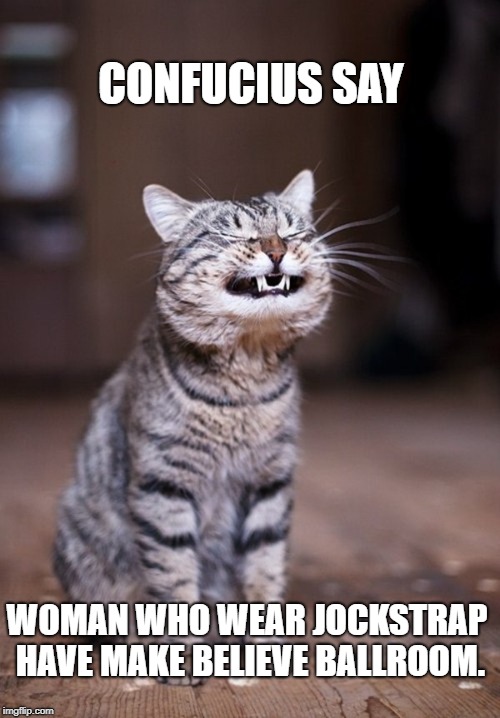 Confucius say | CONFUCIUS SAY; WOMAN WHO WEAR JOCKSTRAP HAVE MAKE BELIEVE BALLROOM. | image tagged in meme,cats,confucius says | made w/ Imgflip meme maker