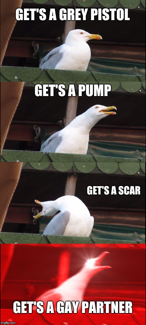 Inhaling Seagull | GET'S A GREY PISTOL; GET'S A PUMP; GET'S A SCAR; GET'S A GAY PARTNER | image tagged in memes,inhaling seagull | made w/ Imgflip meme maker