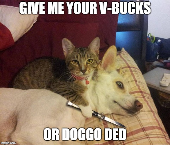  GIVE ME YOUR V-BUCKS; OR DOGGO DED | image tagged in dog,cat,dog vs cat | made w/ Imgflip meme maker