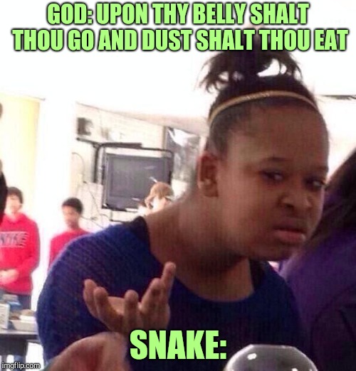 Wat | GOD: UPON THY BELLY SHALT THOU GO AND DUST SHALT THOU EAT; SNAKE: | image tagged in memes,black girl wat,adam and eve | made w/ Imgflip meme maker
