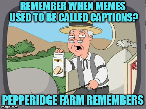 I even won a couple of "caption contests" run by the local newspaper. | REMEMBER WHEN MEMES USED TO BE CALLED CAPTIONS? PEPPERIDGE FARM REMEMBERS | image tagged in family guy pepper ridge,memes | made w/ Imgflip meme maker