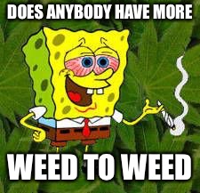Weed | DOES ANYBODY HAVE MORE WEED TO WEED | image tagged in weed | made w/ Imgflip meme maker