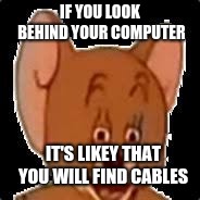 Jerry  | IF YOU LOOK BEHIND YOUR COMPUTER; IT'S LIKEY THAT YOU WILL FIND CABLES | image tagged in me me's | made w/ Imgflip meme maker