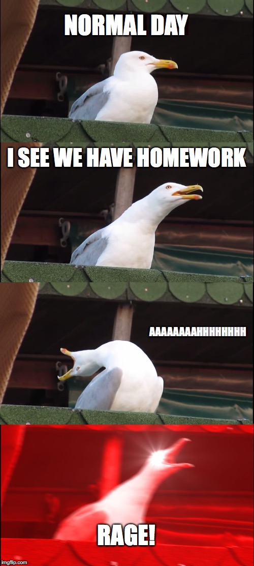 Inhaling Seagull | NORMAL DAY; I SEE WE HAVE HOMEWORK; AAAAAAAAHHHHHHHH; RAGE! | image tagged in memes,inhaling seagull | made w/ Imgflip meme maker