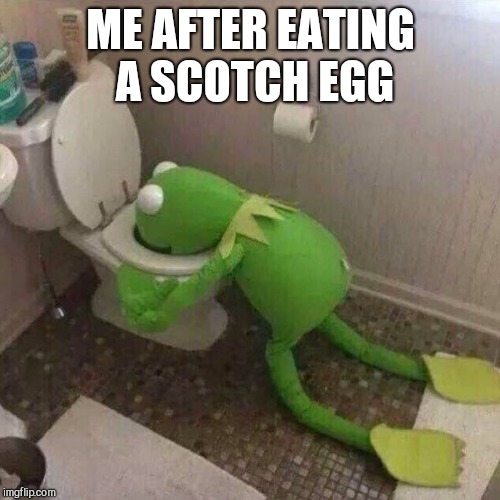 Kermit Throwing Up | ME AFTER EATING A SCOTCH EGG | image tagged in kermit throwing up | made w/ Imgflip meme maker