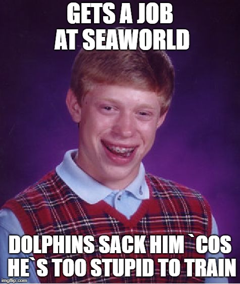 Bad Luck Brian Meme | GETS A JOB AT SEAWORLD DOLPHINS SACK HIM `COS HE`S TOO STUPID TO TRAIN | image tagged in memes,bad luck brian | made w/ Imgflip meme maker