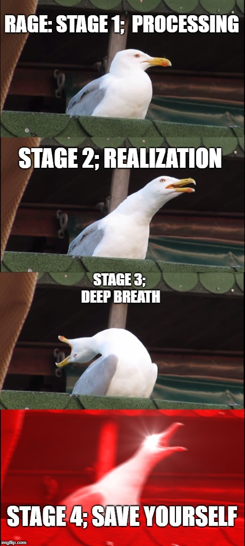 Inhaling Seagull | RAGE:
STAGE 1; 
PROCESSING; STAGE 2; REALIZATION; STAGE 3; DEEP BREATH; STAGE 4; SAVE YOURSELF | image tagged in memes,inhaling seagull | made w/ Imgflip meme maker