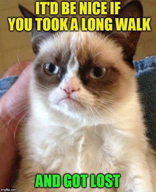 Grumpy Cat Meme | IT'D BE NICE IF YOU TOOK A LONG WALK AND GOT LOST | image tagged in memes,grumpy cat | made w/ Imgflip meme maker