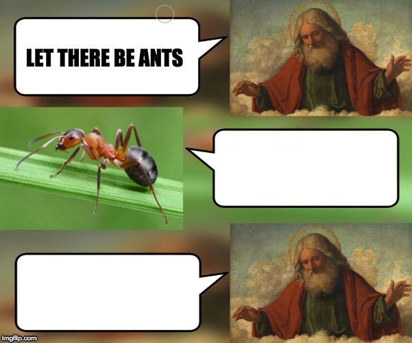 High Quality Let there be ants Blank Meme Template