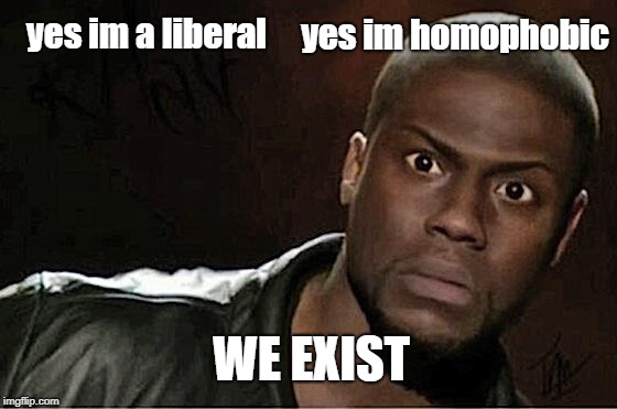 Big Oof | yes im a liberal; yes im homophobic; WE EXIST | image tagged in memes,kevin hart,politics | made w/ Imgflip meme maker