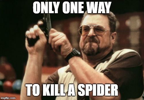 Am I The Only One Around Here Meme | ONLY ONE WAY; TO KILL A SPIDER | image tagged in memes,am i the only one around here | made w/ Imgflip meme maker