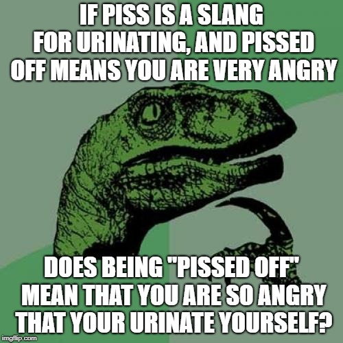 Philosoraptor | IF PISS IS A SLANG FOR URINATING, AND PISSED OFF MEANS YOU ARE VERY ANGRY; DOES BEING "PISSED OFF" MEAN THAT YOU ARE SO ANGRY THAT YOUR URINATE YOURSELF? | image tagged in memes,philosoraptor | made w/ Imgflip meme maker