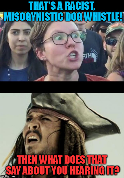 They don't think these things through, do they? | THAT'S A RACIST, MISOGYNISTIC DOG WHISTLE! THEN WHAT DOES THAT SAY ABOUT YOU HEARING IT? | image tagged in confused dafuq jack sparrow what,angry sjw | made w/ Imgflip meme maker
