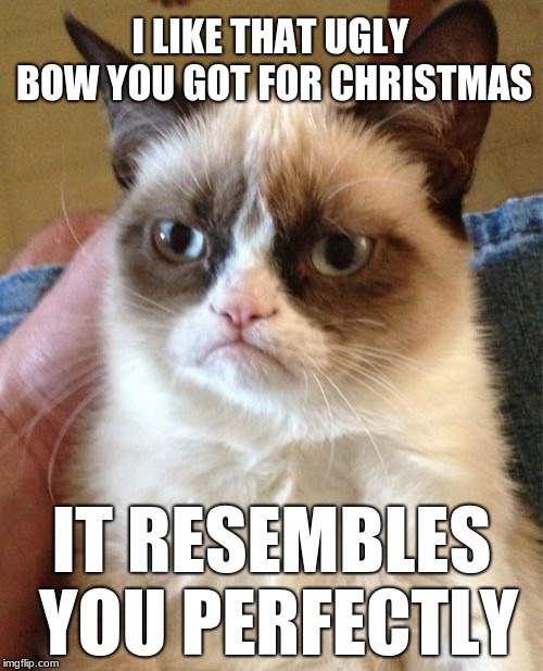 Grumpy Cat | I LIKE THAT UGLY BOW YOU GOT FOR CHRISTMAS; IT RESEMBLES YOU PERFECTLY | image tagged in memes,grumpy cat | made w/ Imgflip meme maker