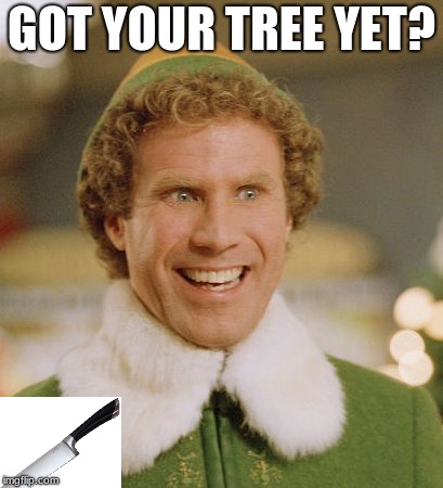 Buddy The Elf Meme | GOT YOUR TREE YET? | image tagged in memes,buddy the elf | made w/ Imgflip meme maker