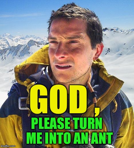 Bear Grylls Meme | GOD , PLEASE TURN  ME INTO AN ANT | image tagged in memes,bear grylls | made w/ Imgflip meme maker