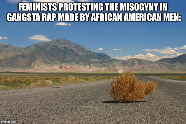 tumbleweed | FEMINISTS PROTESTING THE MISOGYNY IN GANGSTA RAP MADE BY AFRICAN AMERICAN MEN: | image tagged in tumbleweed | made w/ Imgflip meme maker