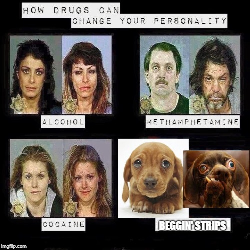 Faces of Drugs - Inspired by BenToutashape | BEGGIN' STRIPS | image tagged in drugs,drugs are bad,faces,before and after | made w/ Imgflip meme maker