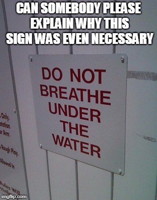This Is A Sign | CAN SOMEBODY PLEASE EXPLAIN WHY THIS SIGN WAS EVEN NECESSARY | image tagged in sign,funny meme,the struggle is real,swimming,rules | made w/ Imgflip meme maker