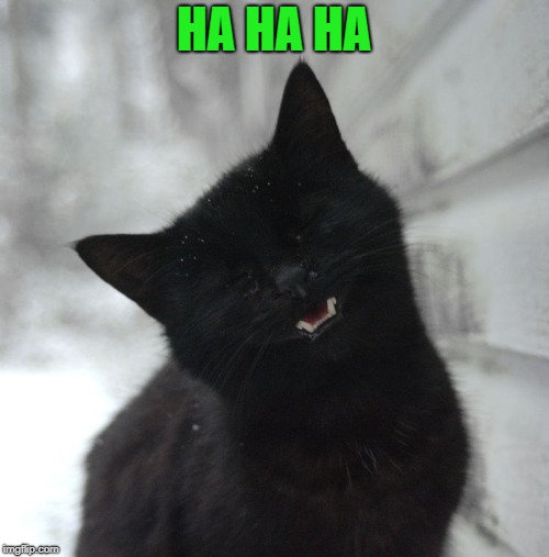 HA HA HA | made w/ Imgflip meme maker