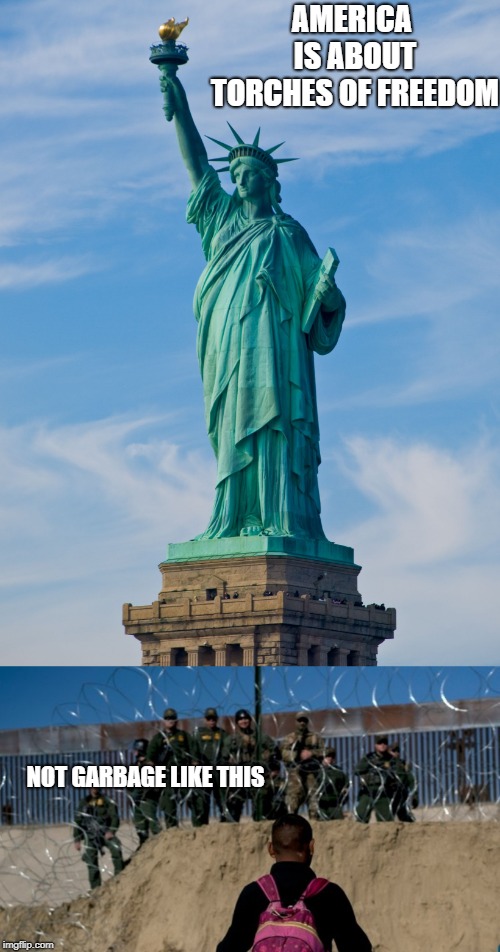 AMERICA IS ABOUT TORCHES OF FREEDOM NOT GARBAGE LIKE THIS | image tagged in statue of liberty | made w/ Imgflip meme maker