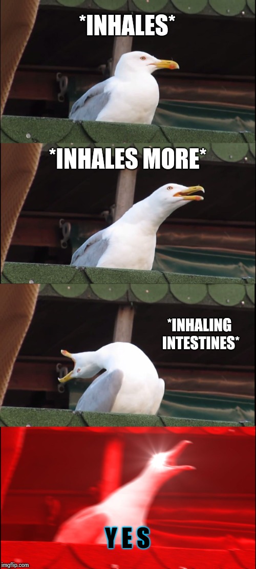 Inhaling Seagull Meme | *INHALES* *INHALES MORE* *INHALING INTESTINES* Y E S | image tagged in memes,inhaling seagull | made w/ Imgflip meme maker