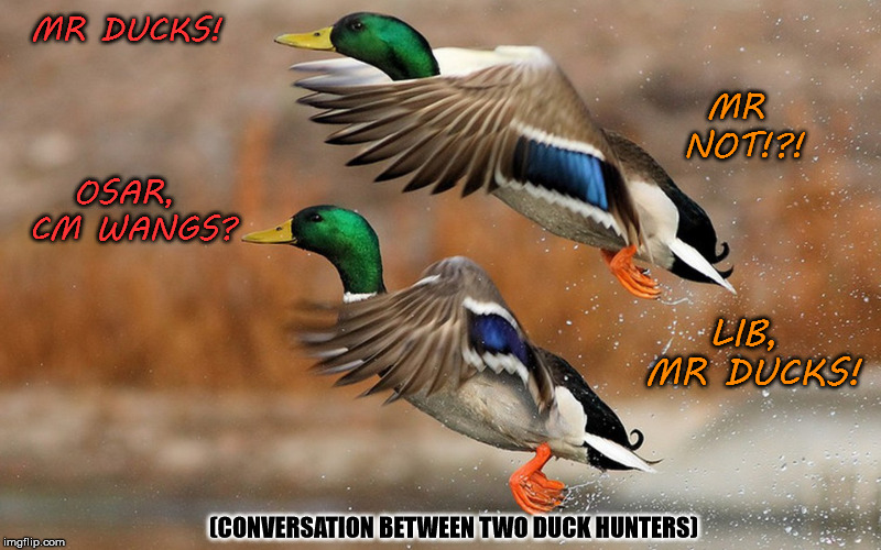 Duck Hunters | MR DUCKS! MR NOT!?! OSAR, CM WANGS? LIB, MR DUCKS! (CONVERSATION BETWEEN TWO DUCK HUNTERS) | image tagged in funny | made w/ Imgflip meme maker