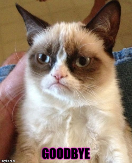 Grumpy Cat Meme | GOODBYE | image tagged in memes,grumpy cat | made w/ Imgflip meme maker