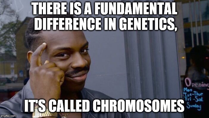 Roll Safe Think About It Meme | THERE IS A FUNDAMENTAL DIFFERENCE IN GENETICS, IT'S CALLED CHROMOSOMES | image tagged in memes,roll safe think about it | made w/ Imgflip meme maker