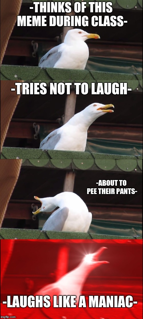 Inhaling Seagull | -THINKS OF THIS MEME DURING CLASS-; -TRIES NOT TO LAUGH-; -ABOUT TO PEE THEIR PANTS-; -LAUGHS LIKE A MANIAC- | image tagged in memes,inhaling seagull | made w/ Imgflip meme maker