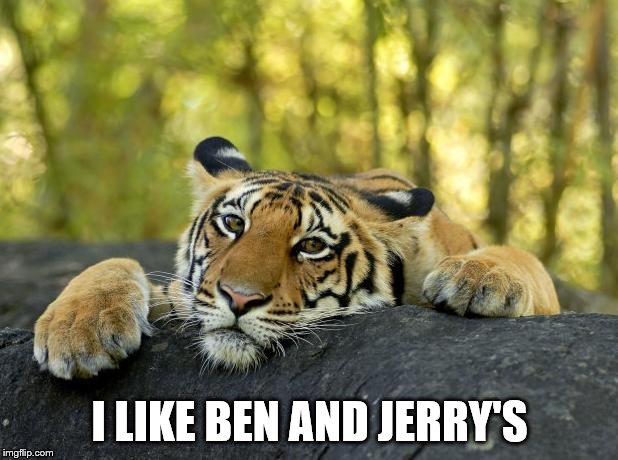 Confession Tiger | I LIKE BEN AND JERRY'S | image tagged in confession tiger | made w/ Imgflip meme maker