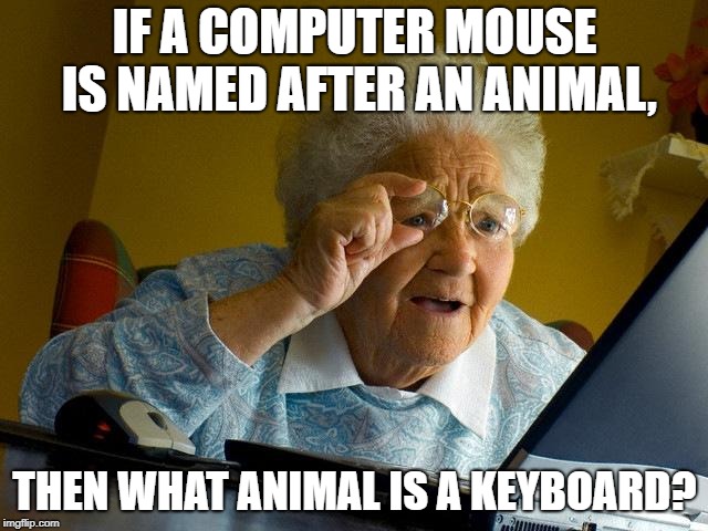 Grandma Finds The Internet Meme | IF A COMPUTER MOUSE IS NAMED AFTER AN ANIMAL, THEN WHAT ANIMAL IS A KEYBOARD? | image tagged in memes,grandma finds the internet | made w/ Imgflip meme maker