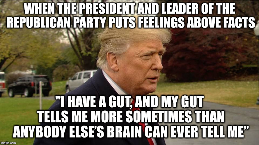 Real quote from Trump disagreeing with the Fed’s interest-rate hikes | WHEN THE PRESIDENT AND LEADER OF THE REPUBLICAN PARTY PUTS FEELINGS ABOVE FACTS; "I HAVE A GUT, AND MY GUT TELLS ME MORE SOMETIMES THAN ANYBODY ELSE’S BRAIN CAN EVER TELL ME” | image tagged in trump,humor,gut,feelings,facts,actual quote | made w/ Imgflip meme maker