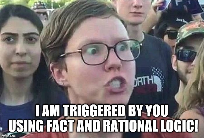 Triggered Liberal | I AM TRIGGERED BY YOU USING FACT AND RATIONAL LOGIC! | image tagged in triggered liberal | made w/ Imgflip meme maker