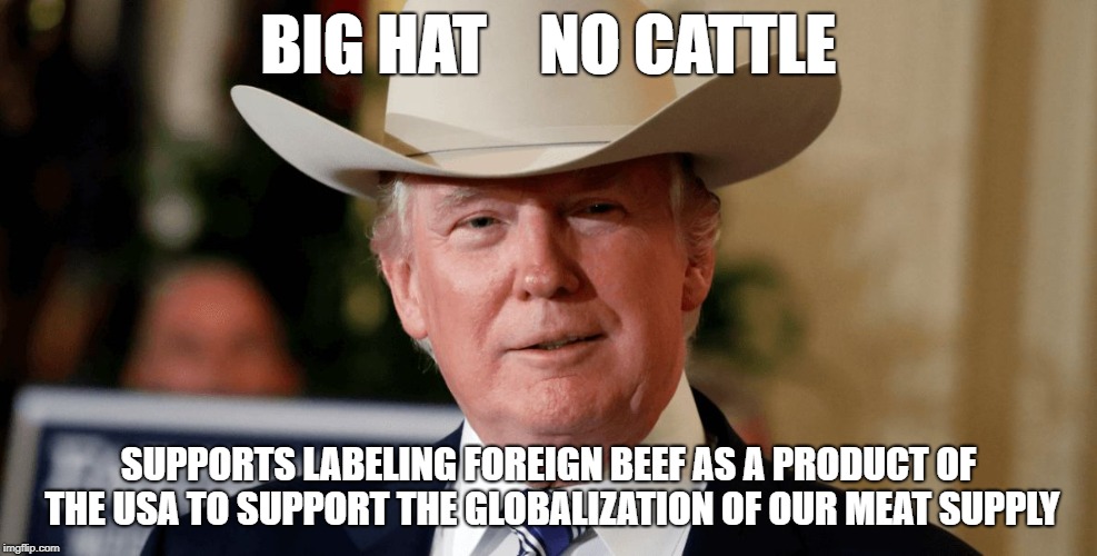 Big Hat No Cattle | BIG HAT    NO CATTLE; SUPPORTS LABELING FOREIGN BEEF AS A PRODUCT OF THE USA TO SUPPORT THE GLOBALIZATION OF OUR MEAT SUPPLY | image tagged in big hat no cattle | made w/ Imgflip meme maker