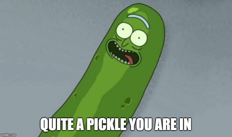 Pickle rick | QUITE A PICKLE YOU ARE IN | image tagged in pickle rick | made w/ Imgflip meme maker