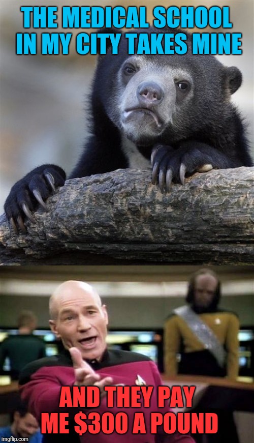 THE MEDICAL SCHOOL IN MY CITY TAKES MINE AND THEY PAY ME $300 A POUND | image tagged in memes,confession bear,picard wtf | made w/ Imgflip meme maker