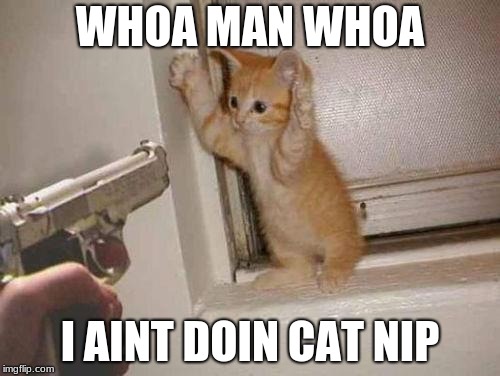 cat robbery | WHOA MAN WHOA; I AINT DOIN CAT NIP | image tagged in cat robbery | made w/ Imgflip meme maker