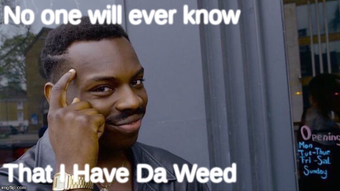 Roll Safe Think About It | No one will ever know; That I Have Da Weed | image tagged in memes,roll safe think about it | made w/ Imgflip meme maker