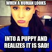 WHEN A HUMAN LOOKS; INTO A PUPPY AND REALIZES IT IS SAD! | image tagged in puppy | made w/ Imgflip meme maker