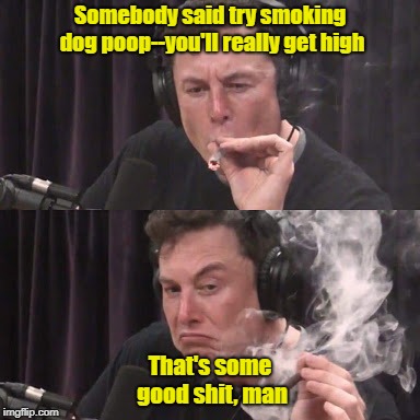 Trained Professional--Do Not Try This At Home | Somebody said try smoking dog poop--you'll really get high; That's some good shit, man | image tagged in elon musk high as space,dog doo doo,memes,getting high | made w/ Imgflip meme maker