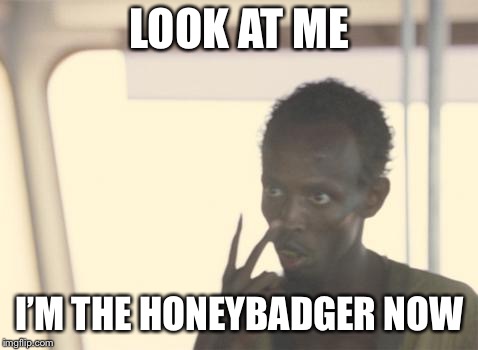 LOOK AT ME; I’M THE HONEYBADGER NOW | made w/ Imgflip meme maker