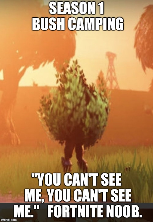 Fortnite bush | SEASON 1 BUSH CAMPING; "YOU CAN'T SEE ME, YOU CAN'T SEE ME." 
 FORTNITE NOOB. | image tagged in fortnite bush | made w/ Imgflip meme maker