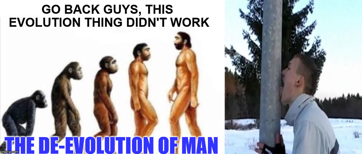 There was once great hope for mankind. Today, not so much. | GO BACK GUYS, THIS EVOLUTION THING DIDN'T WORK; THE DE-EVOLUTION OF MAN | image tagged in evolution of man | made w/ Imgflip meme maker