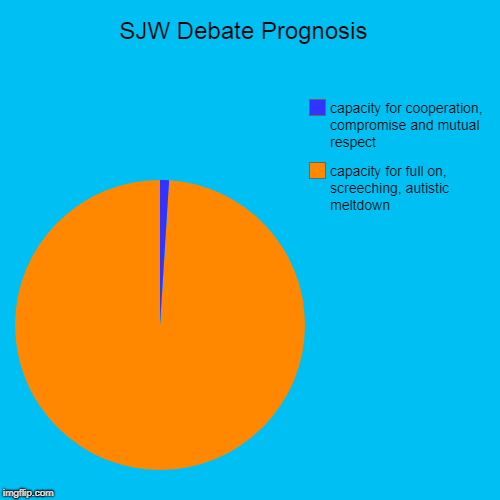 SJW Debate Prognosis  | capacity for full on, screeching, autistic meltdown, capacity for cooperation, compromise and mutual respect | image tagged in funny,pie charts | made w/ Imgflip chart maker