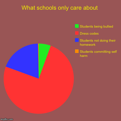What schools only care about | Students committing self harm , Students not doing their homework , Dress codes, Students being bullied | image tagged in funny,pie charts | made w/ Imgflip chart maker