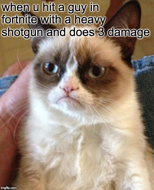 Grumpy Cat | when u hit a guy in fortnite with a heavy shotgun and does 3 damage | image tagged in memes,grumpy cat | made w/ Imgflip meme maker