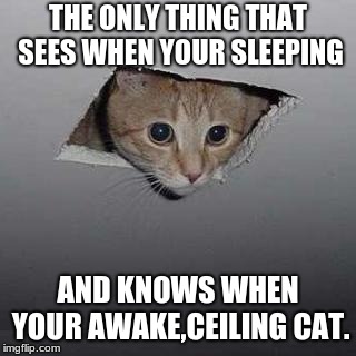 Ceiling Cat Meme - Imgflip